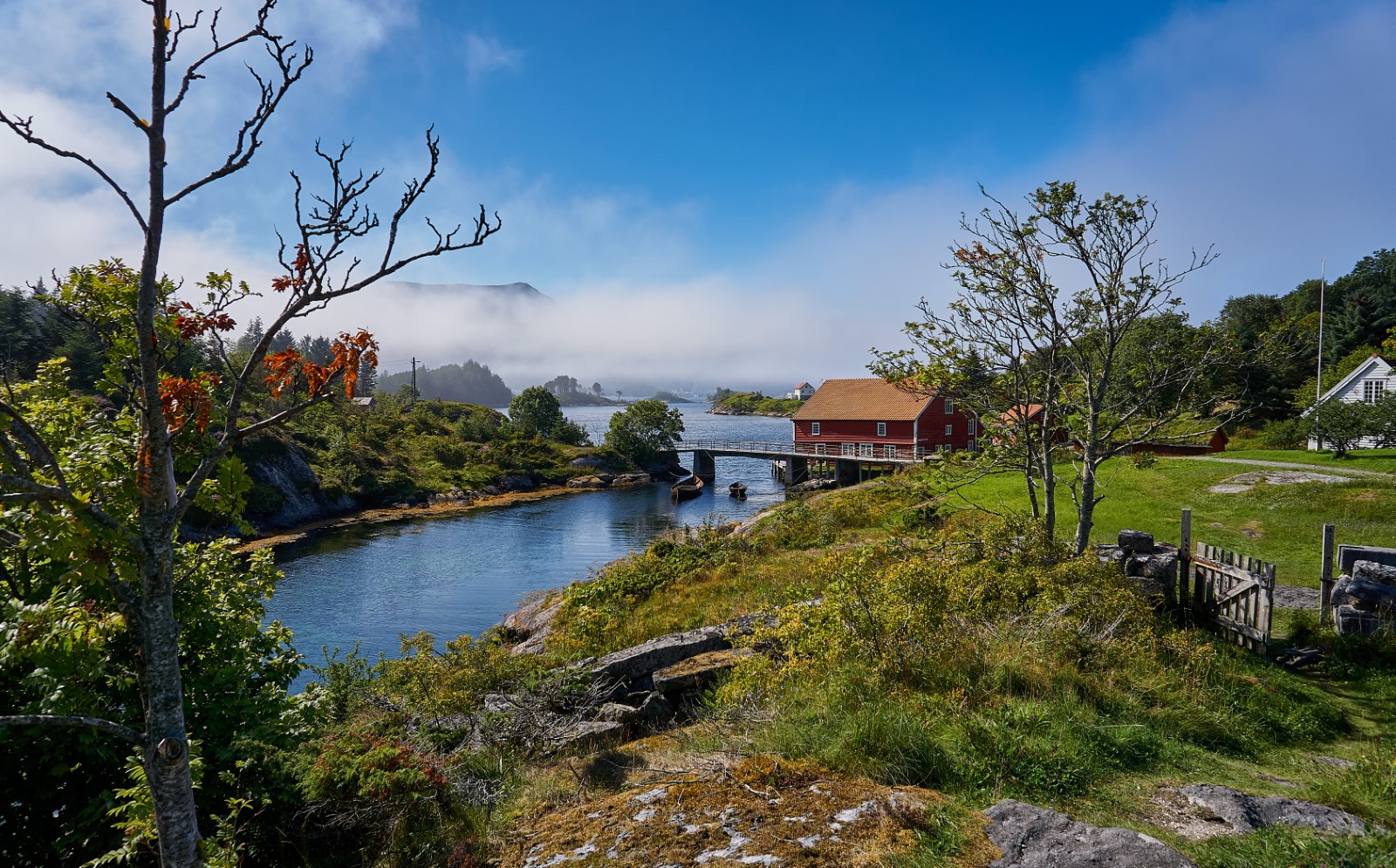 revisor Herøy