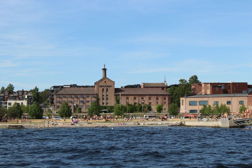 revisor Hamar