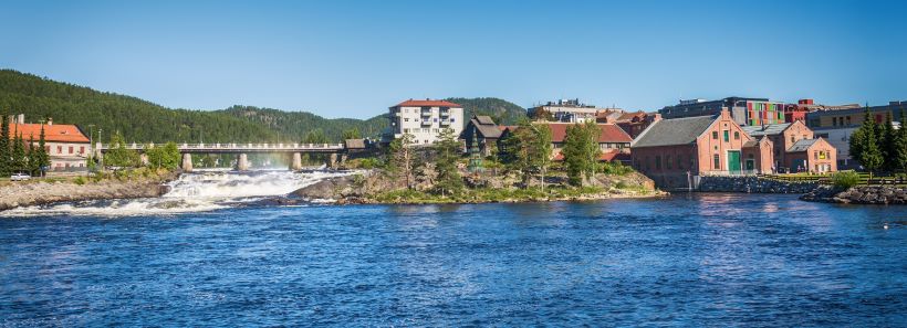 revisor Kongsberg