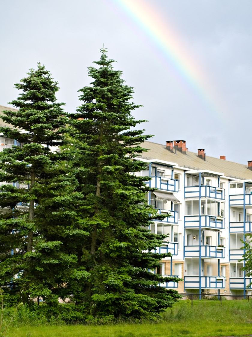 revisor Lambertseter