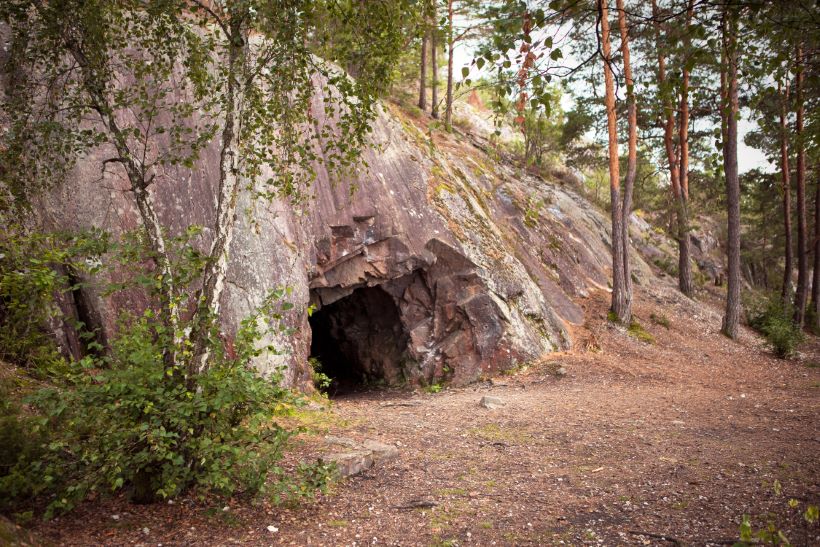revisor Nesodden