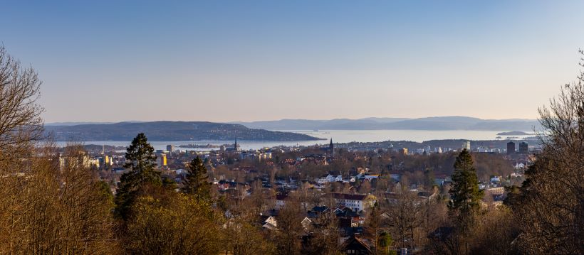 revisor Nesodden