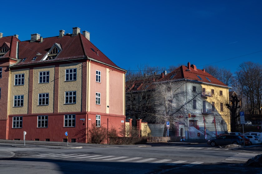 revisor Torshov